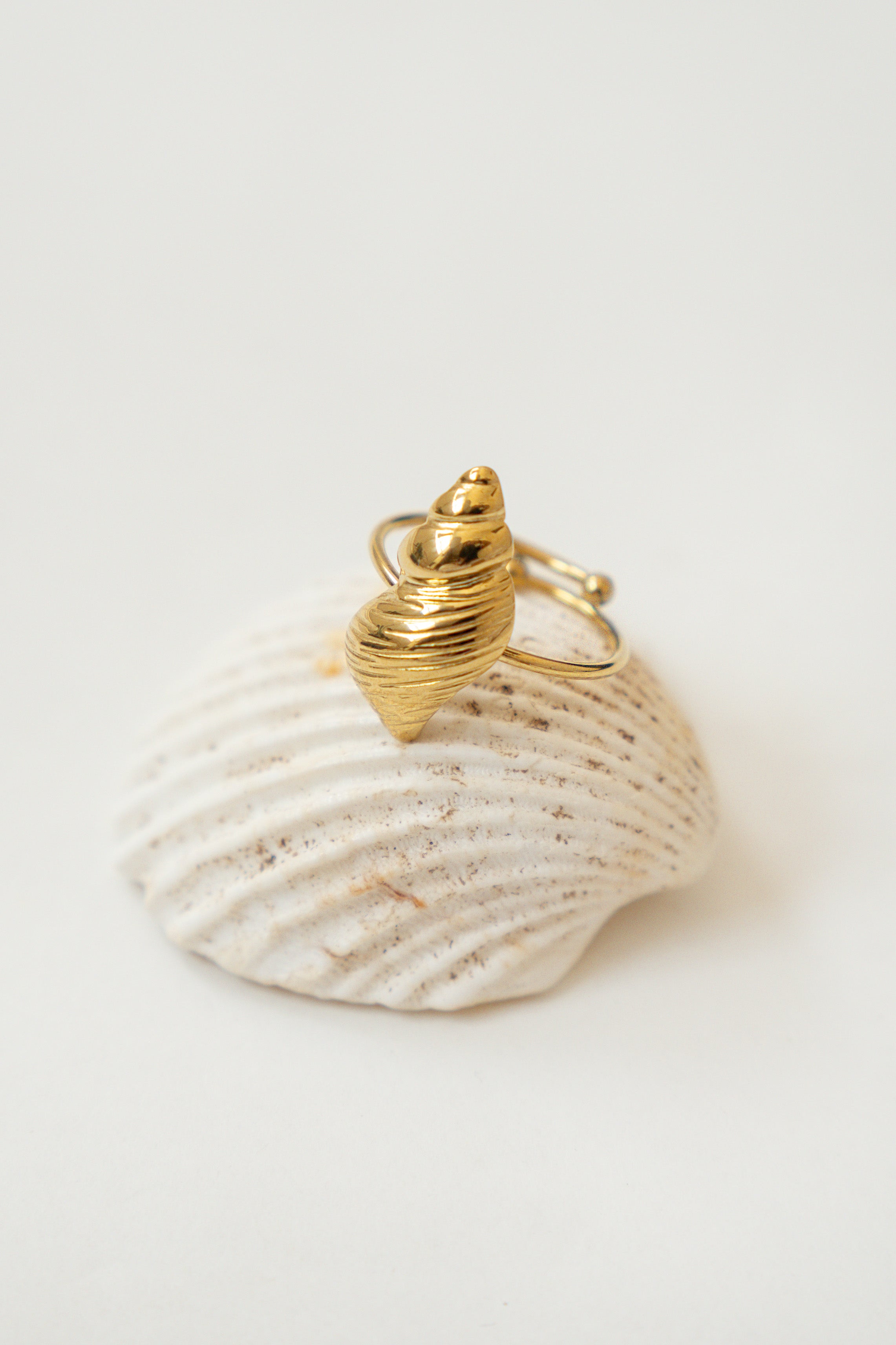 SPIRAL SHELL RING