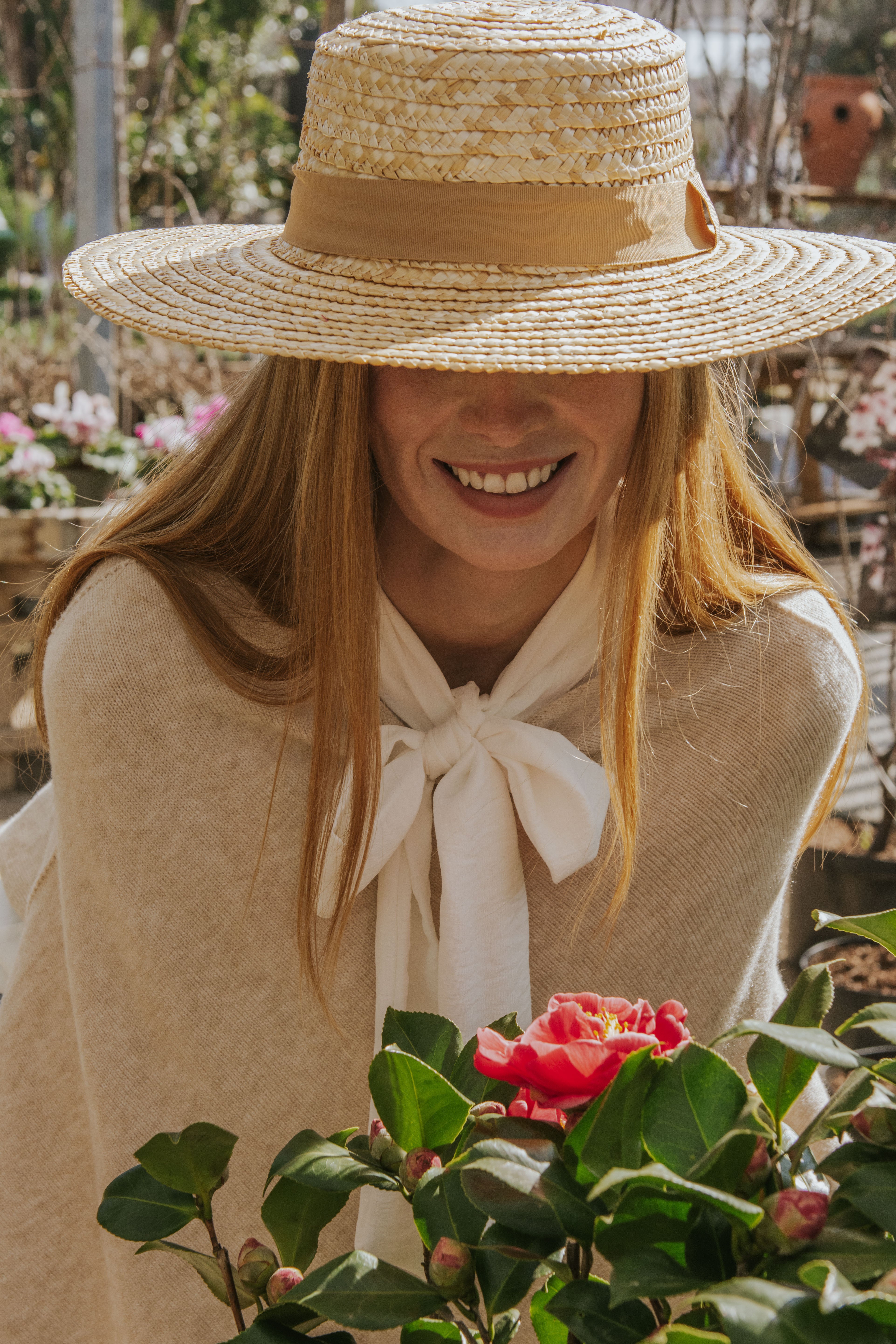 CAPA AURORA // CRUDO