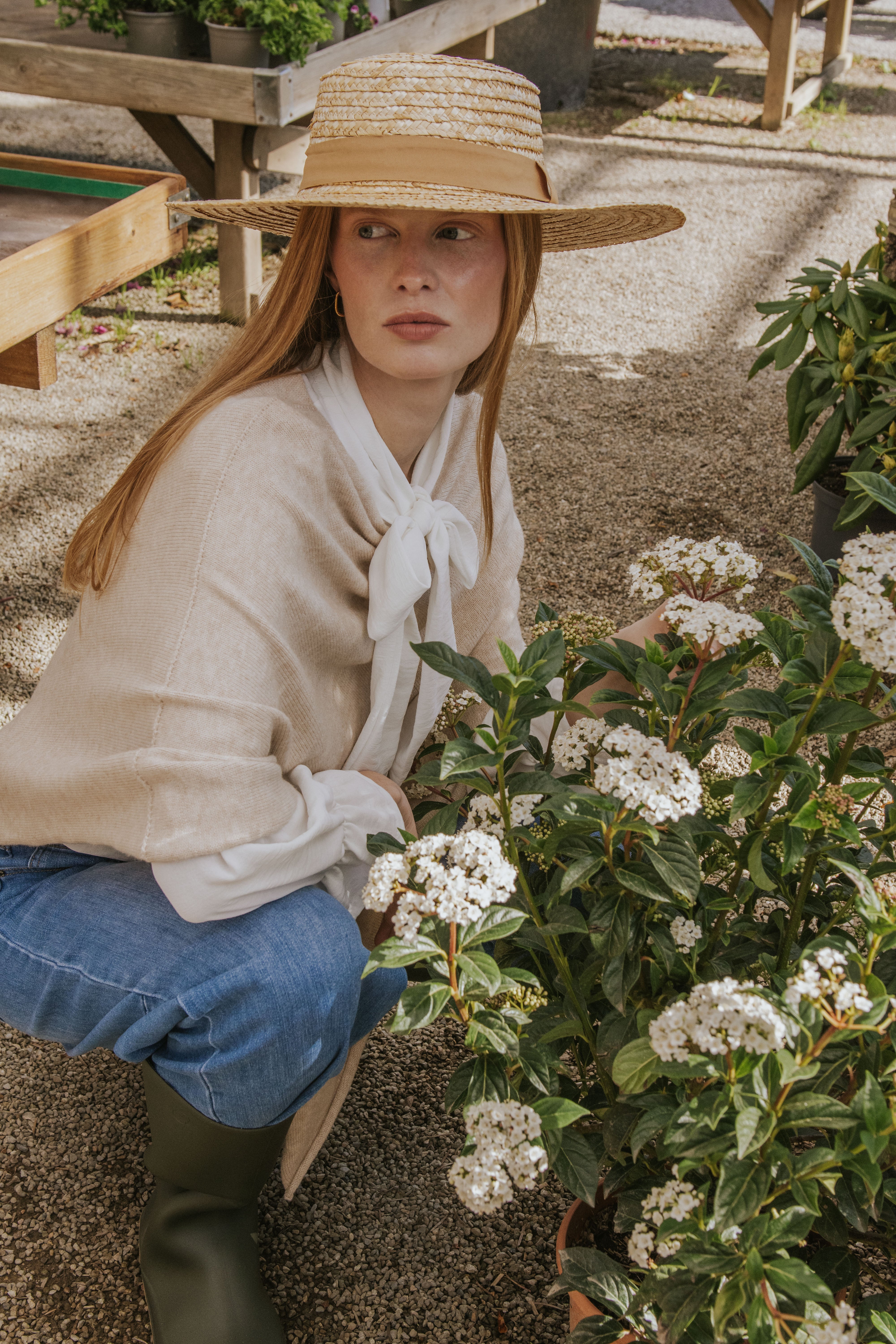 CAPA AURORA // CRUDO