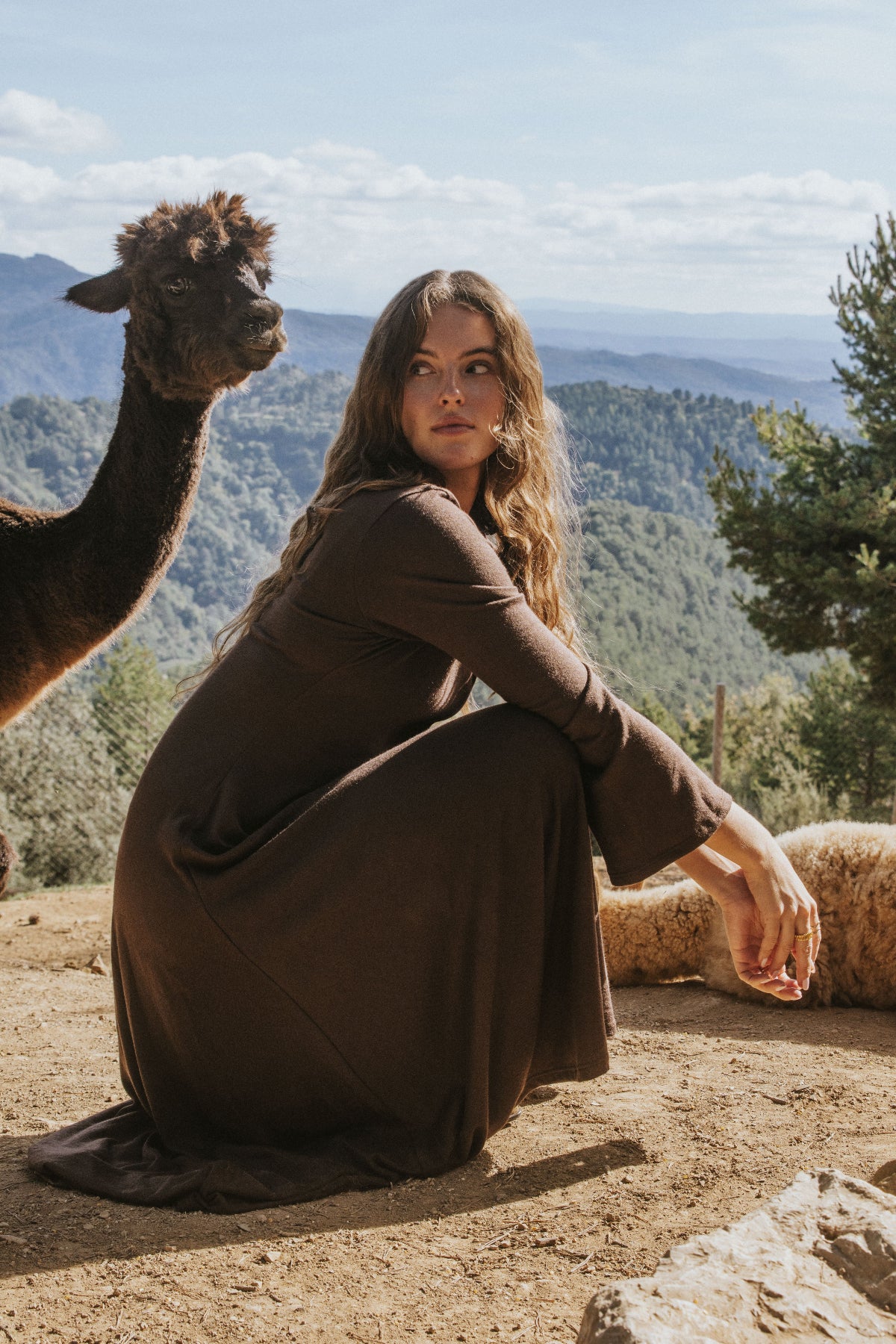 ISABELLA DRESS // BROWN