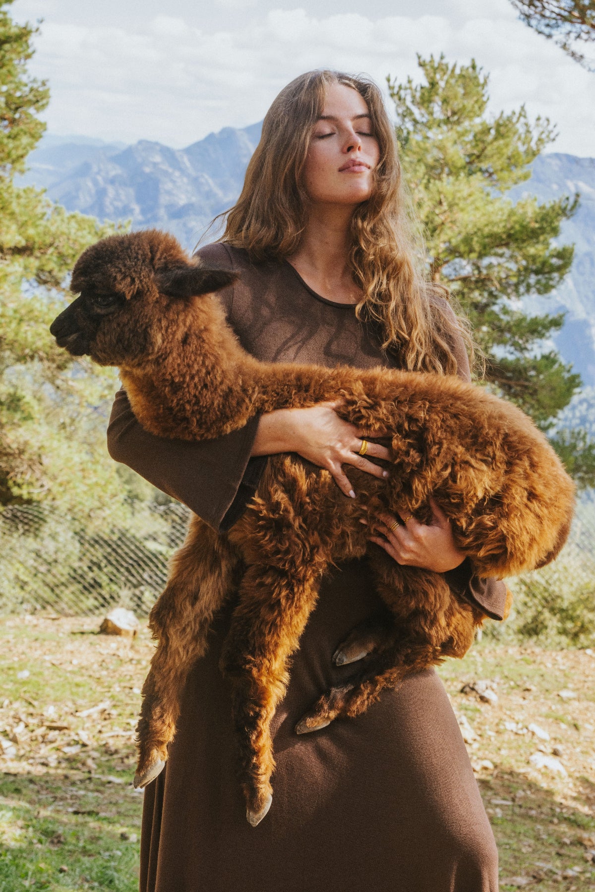 ISABELLA DRESS // BROWN