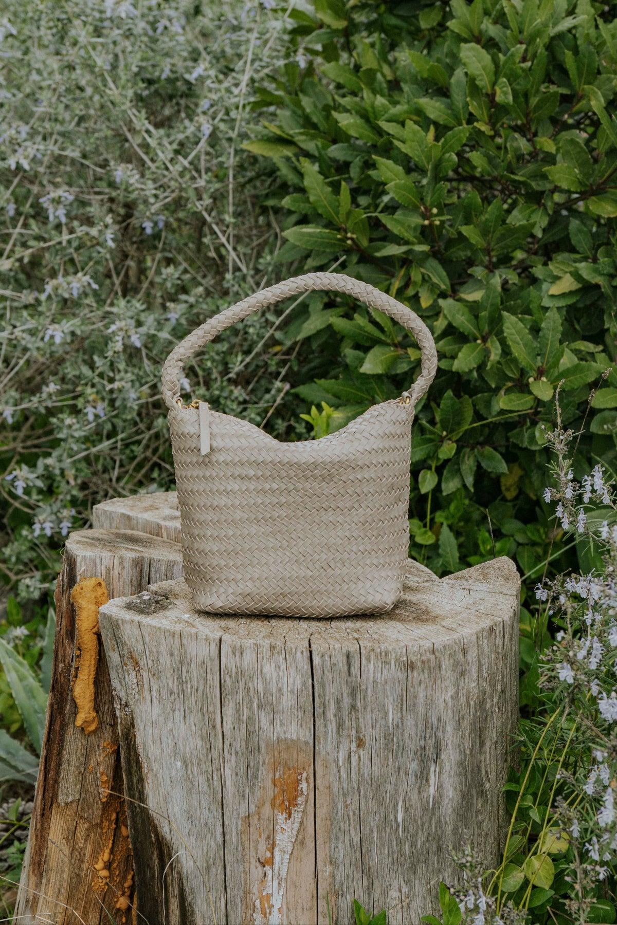 BOLSO CHLOÉ // TAUPE