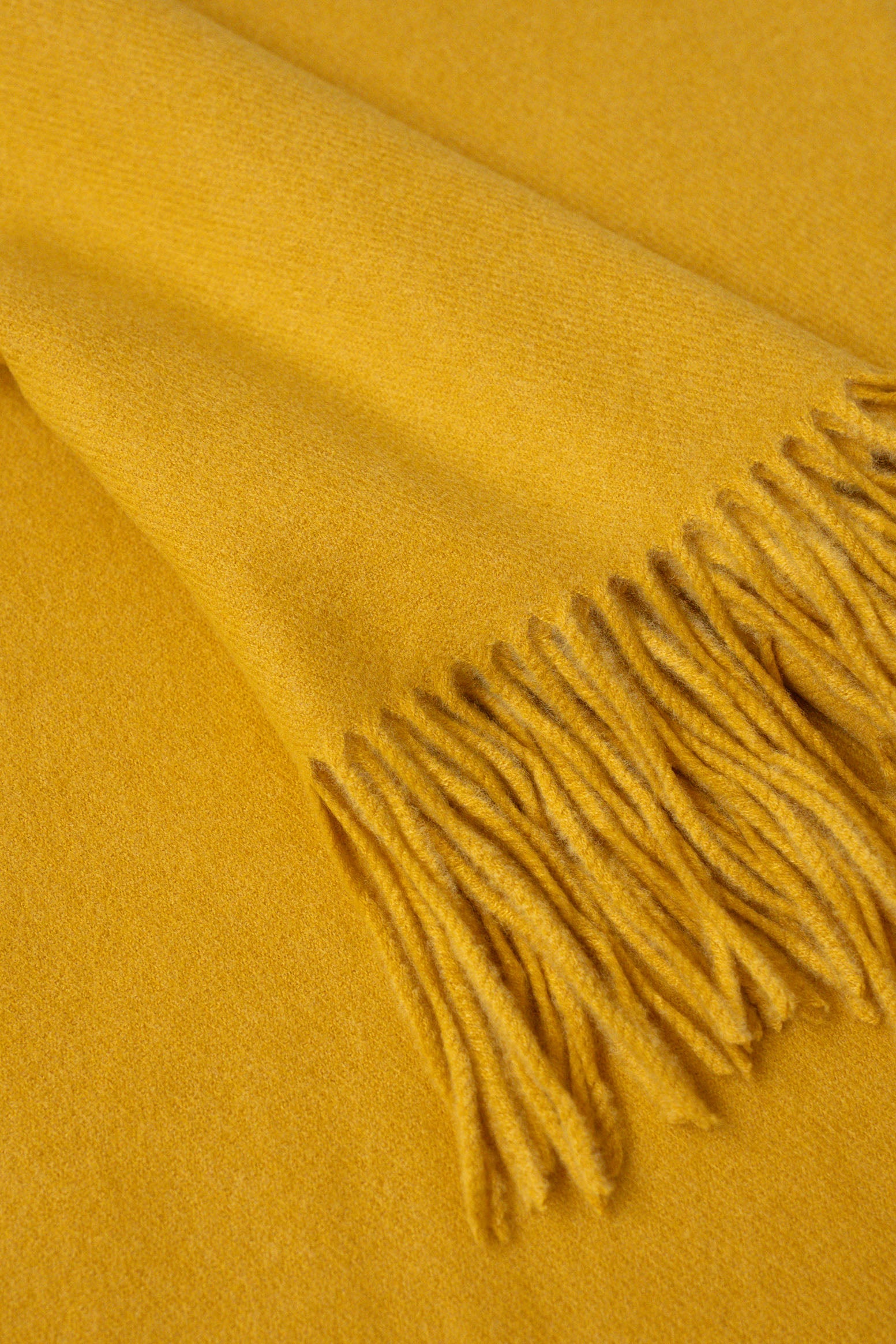 FOULARD CASHMERE // MOSTAZA