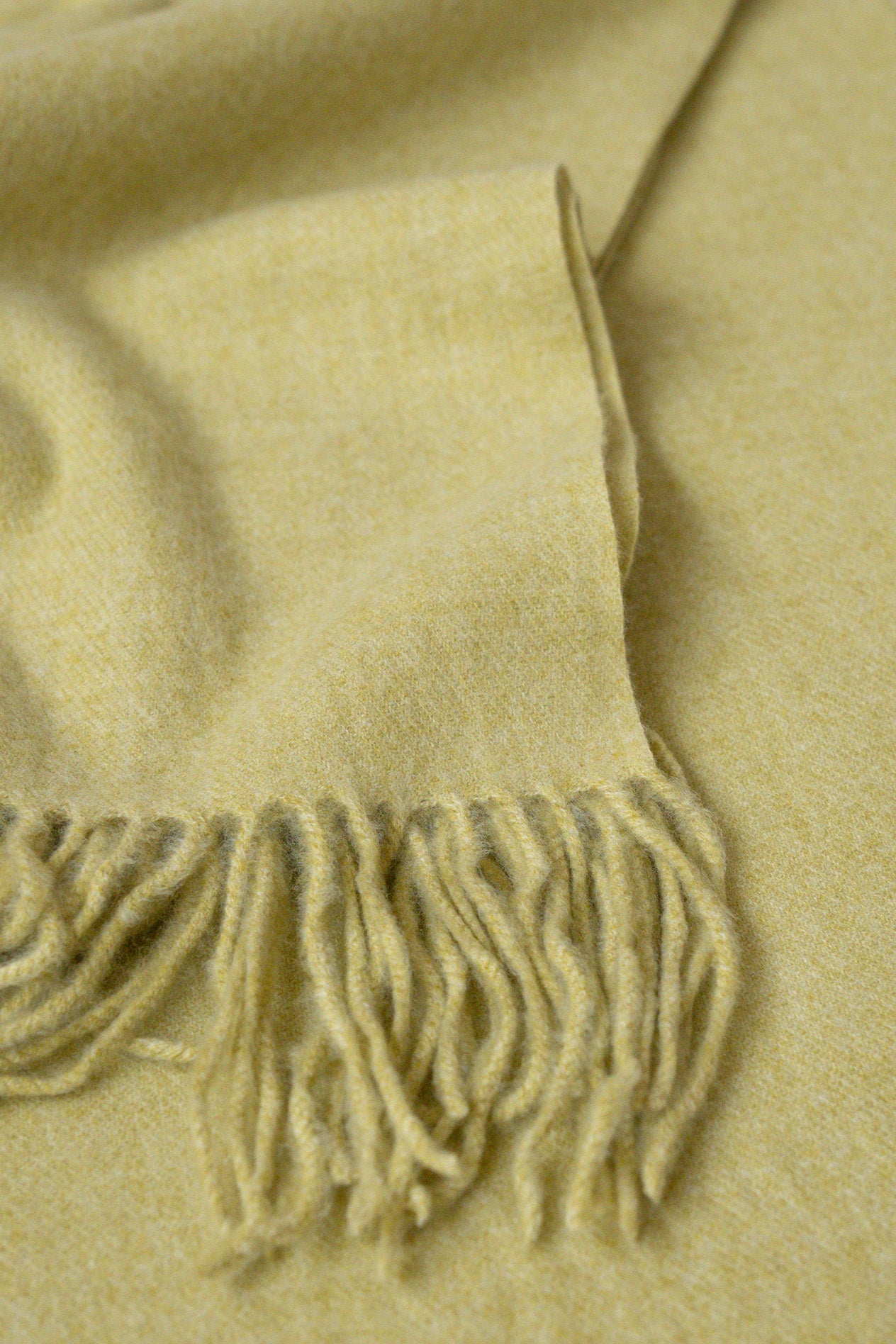 FOULARD CASHMERE // PISTACHO